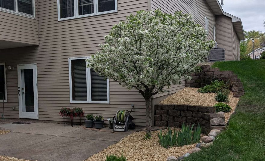 buff-limestone-landscape-bed-project-andover-mn-5